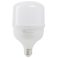 Bóng LED Bulb tàu cá Rạng Đông TR100.TC/30W E27 (Ø100x170) màu trắng
