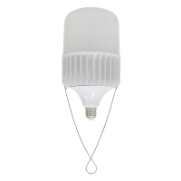 Bóng LED Bulb Rạng Đông TR135/80W (Ø135x260) màu trắng