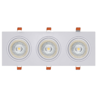 Đèn LED Downlight Âm Trần Màu Vàng 3x10W Paragon OLS310L30/30