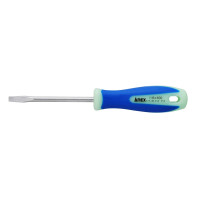Tua Vít Đầu Dẹp 6x100 mm Anex No.1505-6x100