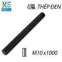 Ty Ren Thép Đen 8.8 M10x1000