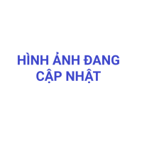 Bộ Chổi Than (Gsb 1300) Dùng Cho Máy GSB 550 Bosch 1619PA1407