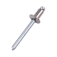 Rivet Inox Chân Thép