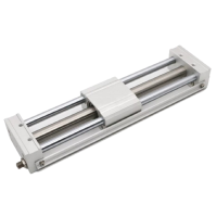 Xilanh Không Trục (Rodless Cylinder)