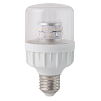 Bóng đèn chuyên dụng Rạng Đông TR60.HC/9W (Ø60x114) màu vàng