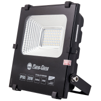 Đèn LED chiếu pha Rạng Đông CP06 30W (200x180x55) màu trắng