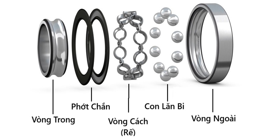 Cấu tạo chi tiết