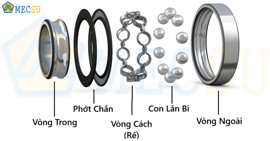 Cấu tạo chi tiết